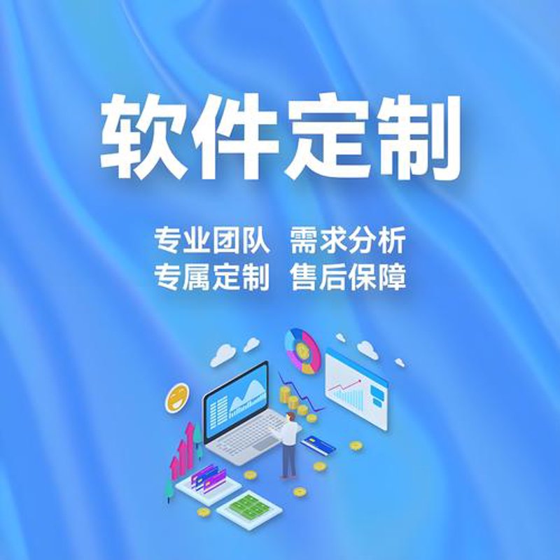 软件定制开发:企业信息化道路上的金牌助手